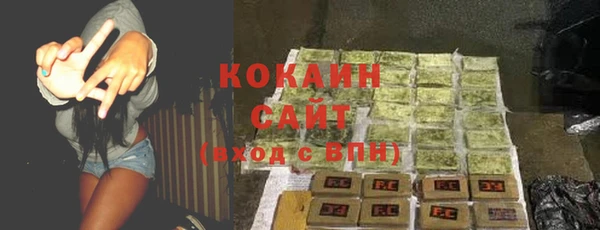 ПСИЛОЦИБИНОВЫЕ ГРИБЫ Краснотурьинск