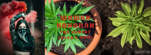 трава Краснослободск