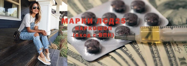 ПСИЛОЦИБИНОВЫЕ ГРИБЫ Краснотурьинск