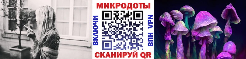 Псилоцибиновые грибы Psilocybine cubensis  Нерчинск 